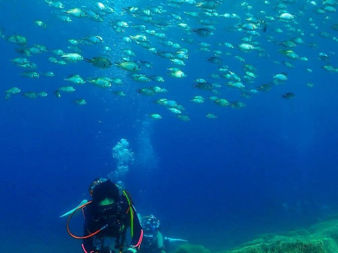 深くなくても、目の前には魚たちの世界！