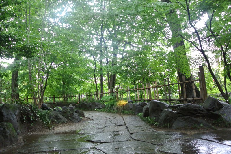 ７月８日（水）　雨の音を聞きながらのお食事も素敵な時間です。