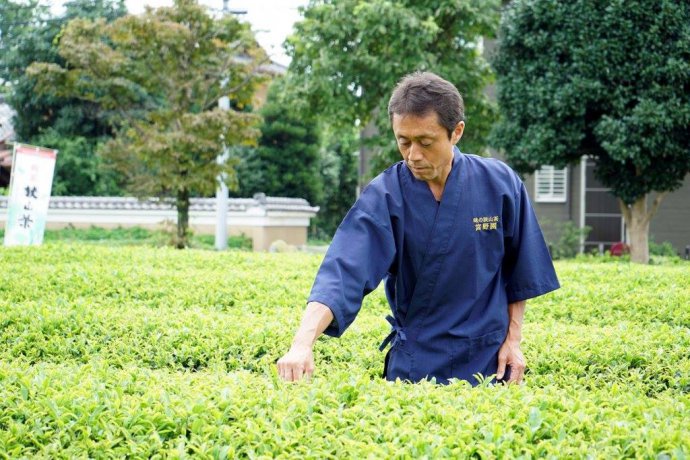 東京から一番近い茶の産地「狭山」