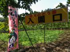 所沢ぶどう園