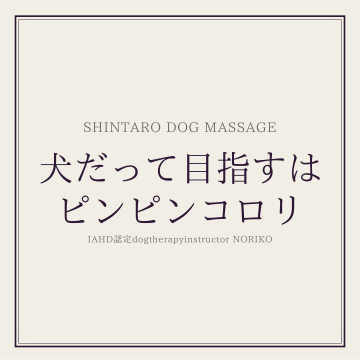 愛犬の心と身体のケアサロン　うぃずのあ