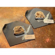 スタッフセレクションのデザートも原材料から全て拘り、お子様にも安心安全の物をセレクト♪季節の一品を是非この機会にお楽しみください!!